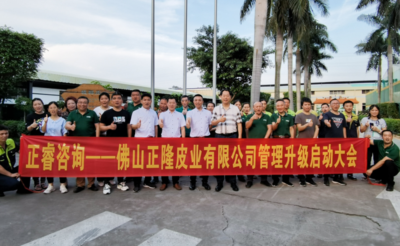 助力皮革行業(yè)再樹標桿——正隆皮業(yè)全面管理升級項目啟動！