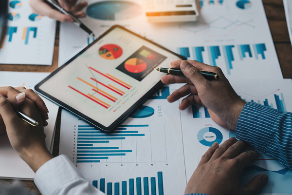 集團(tuán)內(nèi)部控制：完善內(nèi)部控制體系，確保集團(tuán)合規(guī)運(yùn)營(yíng)