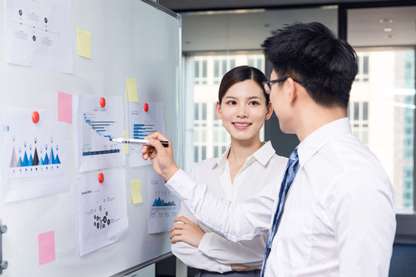 組織咨詢：協(xié)助企業(yè)制定組織發(fā)展戰(zhàn)略，推動組織成長