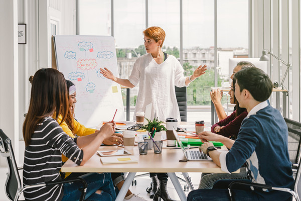 集團(tuán)管控中的組織結(jié)構(gòu)優(yōu)化：原則、方法與實踐