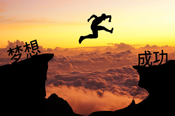 績效管理：應(yīng)對變革挑戰(zhàn)，推動組織變革成功