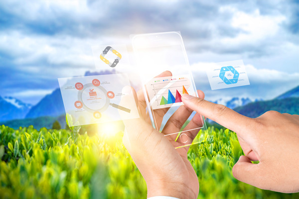 供應(yīng)鏈管理：打造高效、靈活與可持續(xù)的供應(yīng)鏈網(wǎng)絡(luò)