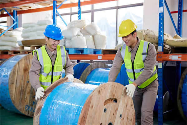 協(xié)同供應(yīng)鏈：強(qiáng)化合作伙伴關(guān)系，提升整體競(jìng)爭(zhēng)力