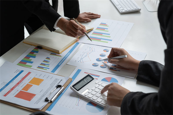 預(yù)算管理策略：優(yōu)化資源配置，提升企業(yè)財務(wù)效能