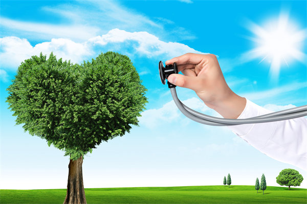 員工福利設(shè)計(jì)新思維：如何平衡成本效益與員工滿意度？