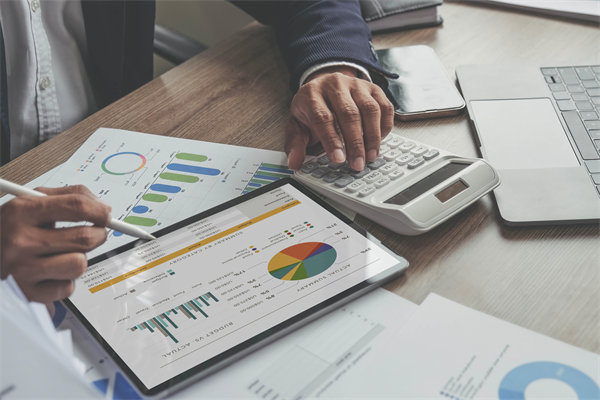 預(yù)算調(diào)整流程中的靈活性與審批標(biāo)準(zhǔn)如何把握？