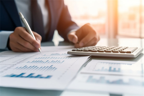 長(zhǎng)短期預(yù)算平衡術(shù)：如何規(guī)劃以確保企業(yè)可持續(xù)發(fā)展？