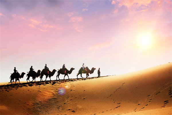 如何確保戰(zhàn)略規(guī)劃與企業(yè)文化及價值觀相契合？