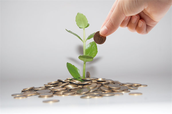 如何在確保業(yè)務發(fā)展的同時，有效控制預算支出？