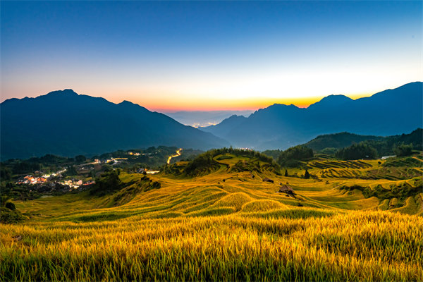 定制化管理咨詢方案：麗水企業(yè)轉(zhuǎn)型升級的鑰匙？