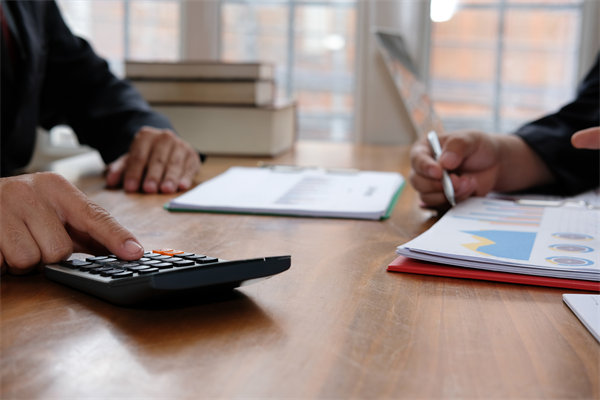 預(yù)算管理系統(tǒng)中，如何平衡自動(dòng)化與人工審核的利弊？