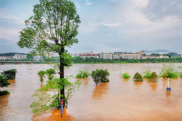 供應(yīng)鏈韌性建設(shè)：面對(duì)自然災(zāi)害的應(yīng)急計(jì)劃與恢復(fù)力？