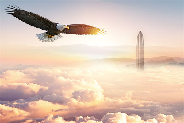 企業(yè)文化與企業(yè)管理如何協(xié)同，推動企業(yè)持續(xù)發(fā)展？