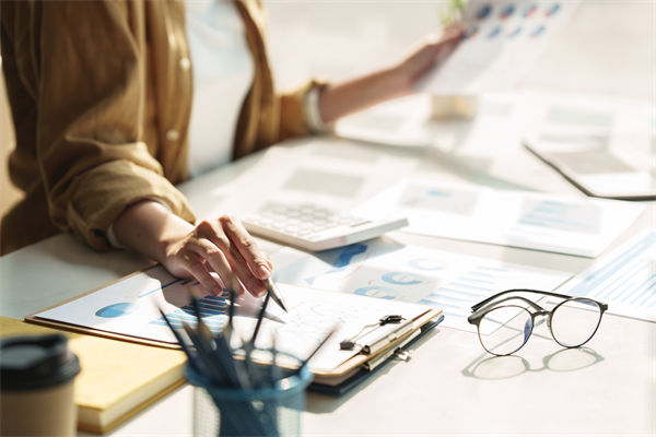 在預(yù)算執(zhí)行中，如何確保監(jiān)控與調(diào)整機制的有效性？