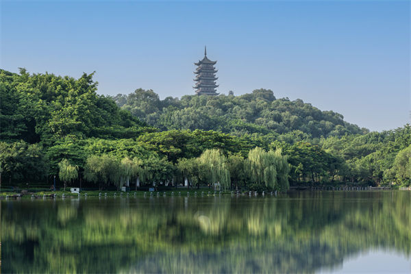 如何評(píng)估佛山集團(tuán)管控咨詢(xún)公司的服務(wù)質(zhì)量和效果？