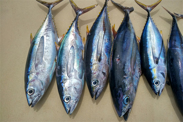 商務(wù)部：將幫助外貿(mào)企業(yè)擴寬內(nèi)銷渠道，政策解讀！