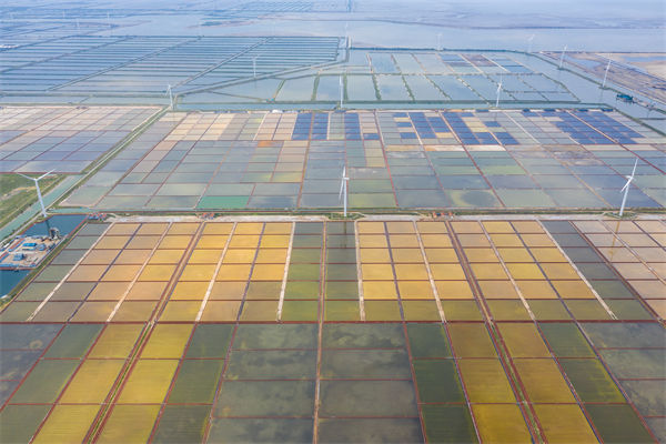 濰坊制造業(yè)招工難留人更難，濰坊人力資源咨詢公司如何破局用工困局？