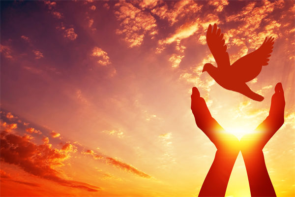 別讓盲卡盲盒“收割”孩子，關(guān)聯(lián)企業(yè)戰(zhàn)略怎么看？