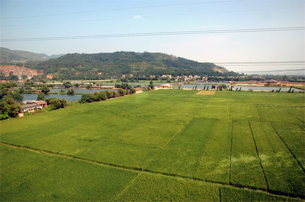 清遠(yuǎn)人力資源咨詢公司量體裁衣，如何激活企業(yè)人才發(fā)展新動(dòng)能？