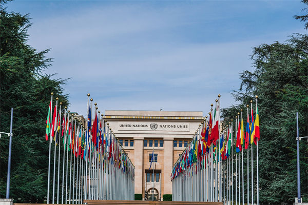 英法等25國(guó)發(fā)表聯(lián)合聲明，企業(yè)組織規(guī)劃有何啟示？