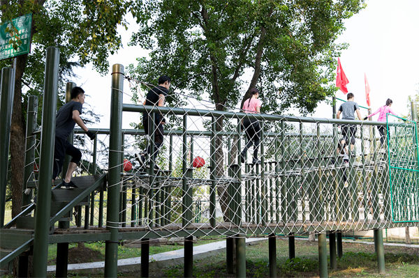 文化活動形式豐富多樣，組織凝聚力提升為何緩慢？