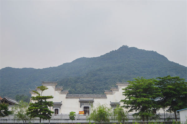 子公司各自為戰(zhàn)內(nèi)耗大，佛山集團(tuán)管控咨詢公司有何整合之道？