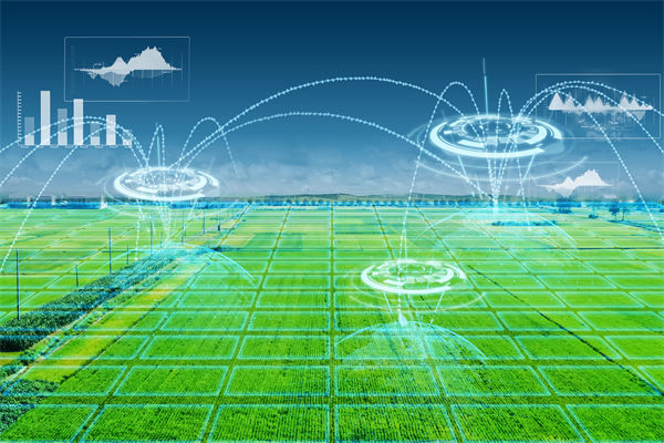 溫州種出2.1米高巨型水稻，精益生產(chǎn)怎么看？