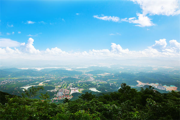 企業(yè)戰(zhàn)略飄在半空落地難，惠州戰(zhàn)略咨詢公司能錨定方向嗎？