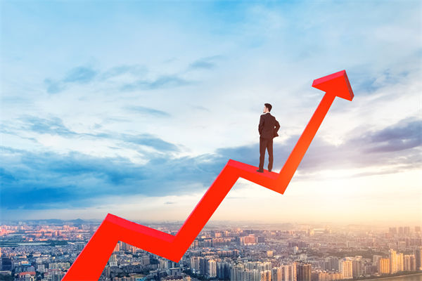 績效管理咨詢公司，能幫企業(yè)建立以結(jié)果為導(dǎo)向的體系嗎？