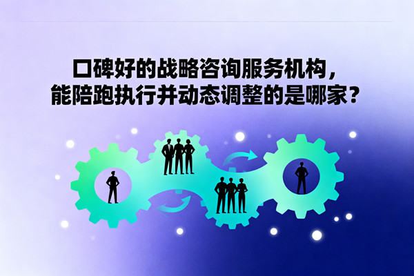 口碑好的戰(zhàn)略咨詢服務(wù)機構(gòu)，能陪跑執(zhí)行并動態(tài)調(diào)整的是哪家？
